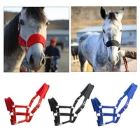 Soft Padded Pony Horse Halter Bridle Headstall Head Collar Horse Riding Stable Horse Bridle Headstall Accessories Western 2