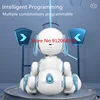 Early Education Touch Sense Electric Remote Control Dog Model Program Stunt Dance Story LED Expression Children RC Robot Dog Toy 3