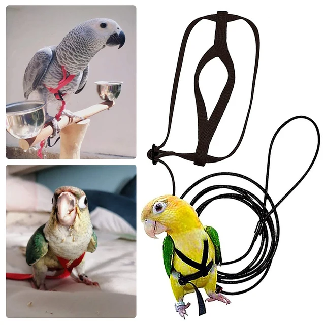 Adjustable Pet Bird Parrot Harness Leash