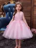 Girls Mesh Hem Princess Dress, Embroidery Design Sleeveless Flower Girl Dress For Pageant Gown Christmas Birthday #802
