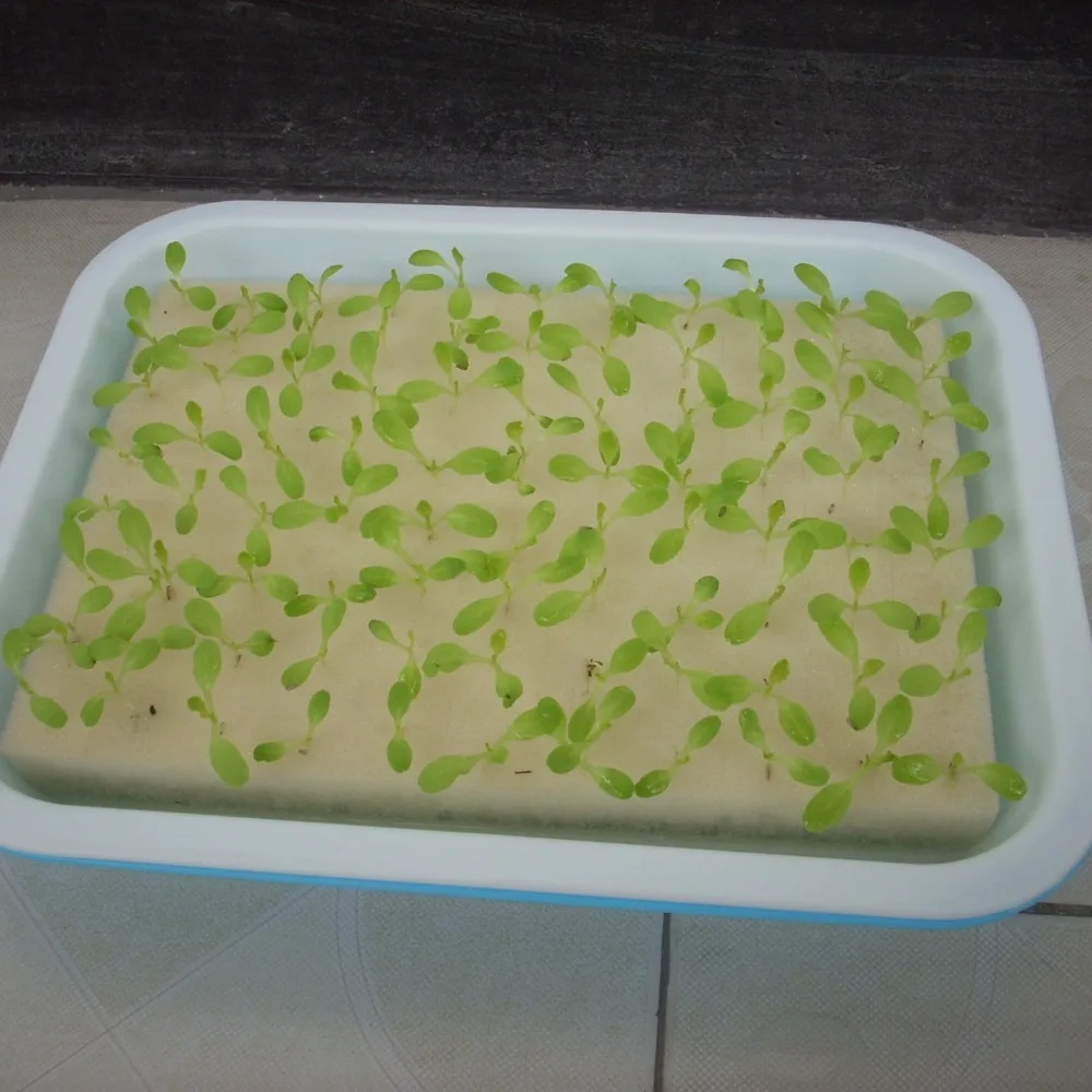 30*20cm Hydroponic Vegetable Sponge Superabsorbent 96 Wells Nursery Sponge Plant Flower Without Edges Seedling Equipment