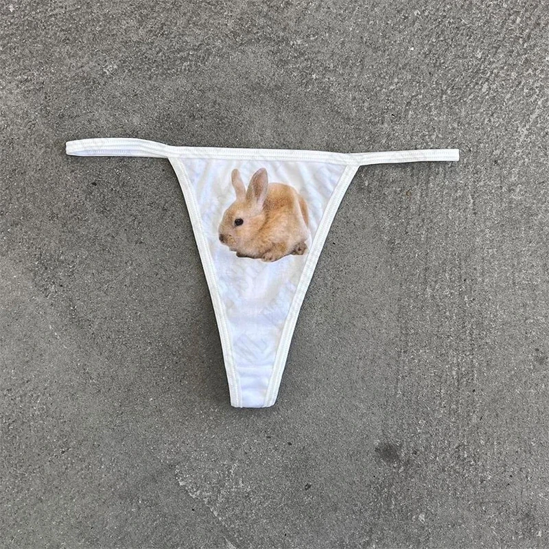 Y2K Cute Rabbit Geometric Pattern Women Underwear vintage Harajuku Hip ...