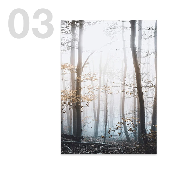 Rustic Misty Forest Landscape Wall Art Canvas - Nature Scenery Home Decor