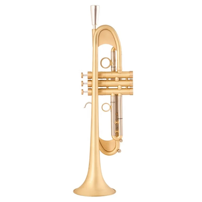 Pro Plus Heavy B-Flat Trumpet in Brushed Gold Band Playing Brass Instrument with EB Tone Lacquer Surface