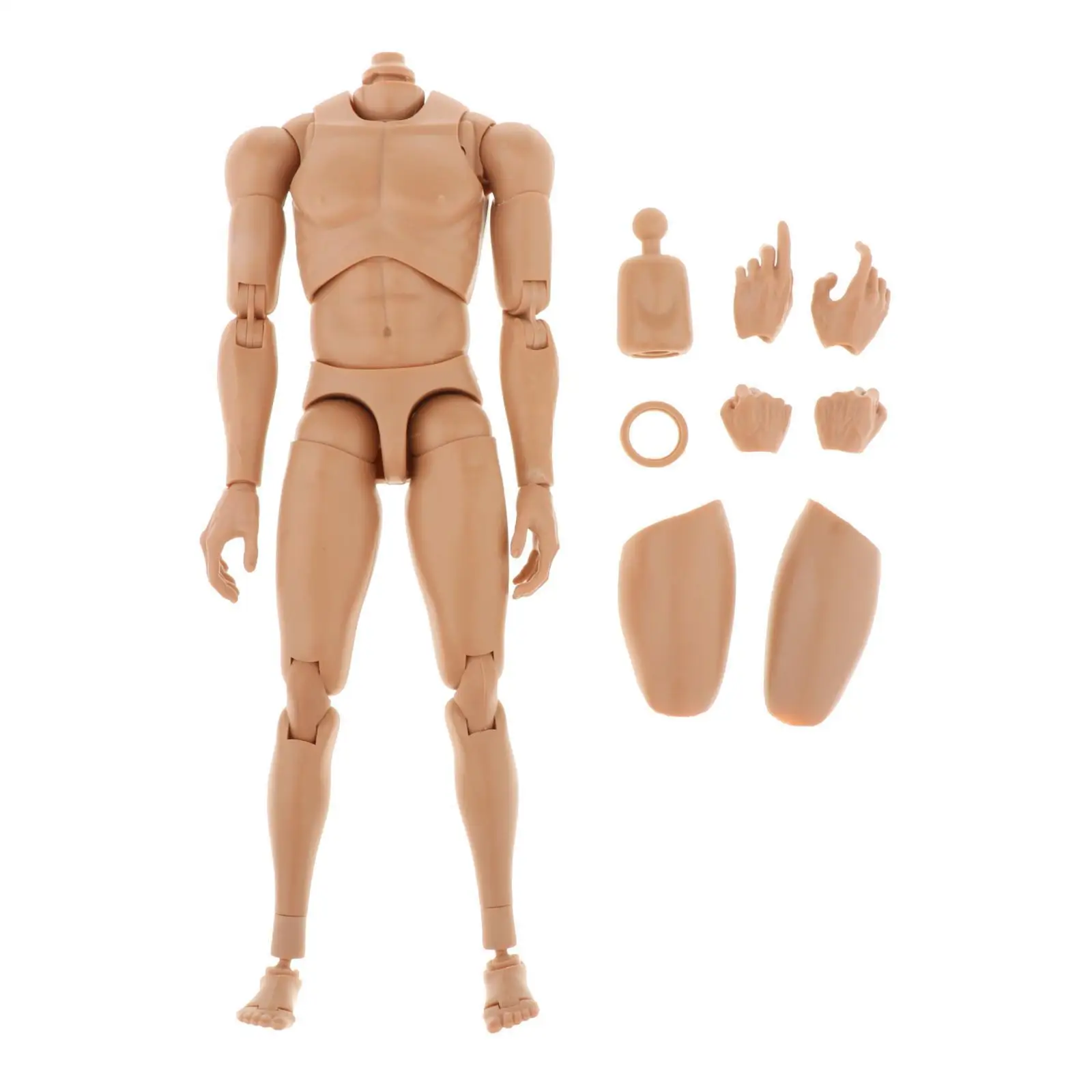 

1:6 Action Figure Narrow Shoulder Male Rude Nude Muscular Body Doll Toys with Neck & Thigh Muscles 11inch Height