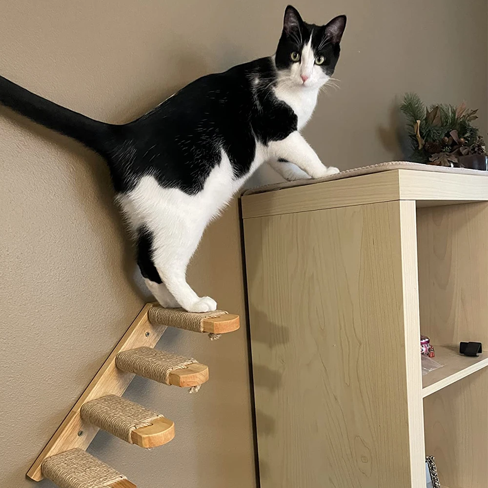 Title 9, Wall-mounted Cat Climb Multiple Hammock Combina...