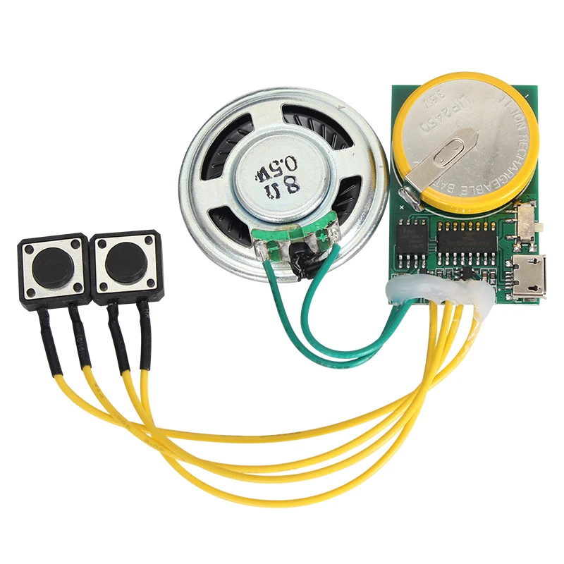 Recordable Sound Module for Greeting Card Two Button MP3 Module Voice