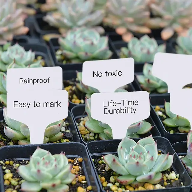 100Db Kerti Címkék Növényi Osztályozás Válogatás Jelzés Műanyag Író Lemez Dugó Card Kültéri Óvoda Jelzője - Image 3