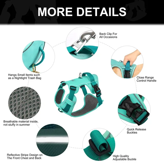Dogs Chest Strap Dog Harness and Leash Set Small Pet Supplies Puppy Accessories Big Breeds Pets Backpack Large Collar 4