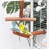 Natural Fruit Tree Parrot Pole Toy T-shaped  Bird Cockatiel Parakeet Perches Bite Claw Grinding Toy Bird Cage Accessories Pet To 4