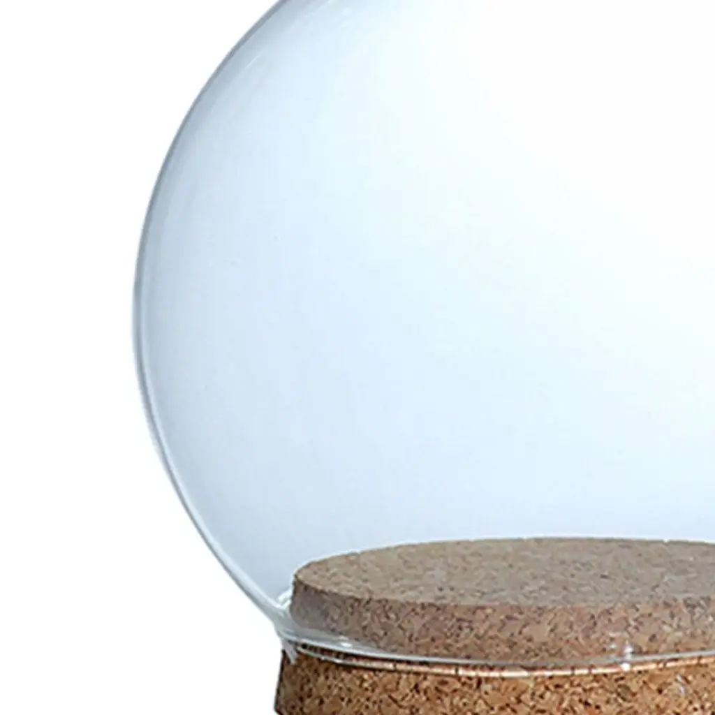 Clear Decorative Glass Dome Flower Preservation Vase Cloche Bell Jar with Wood Base Plant Ornament Miniature Dollhouse 12cm glass display dome