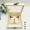 Real Butterfly Specimen,Frame,Butterfly Display Box,Set Up Stage for Children's Education,Popularization of Science,BirthdayGift 5