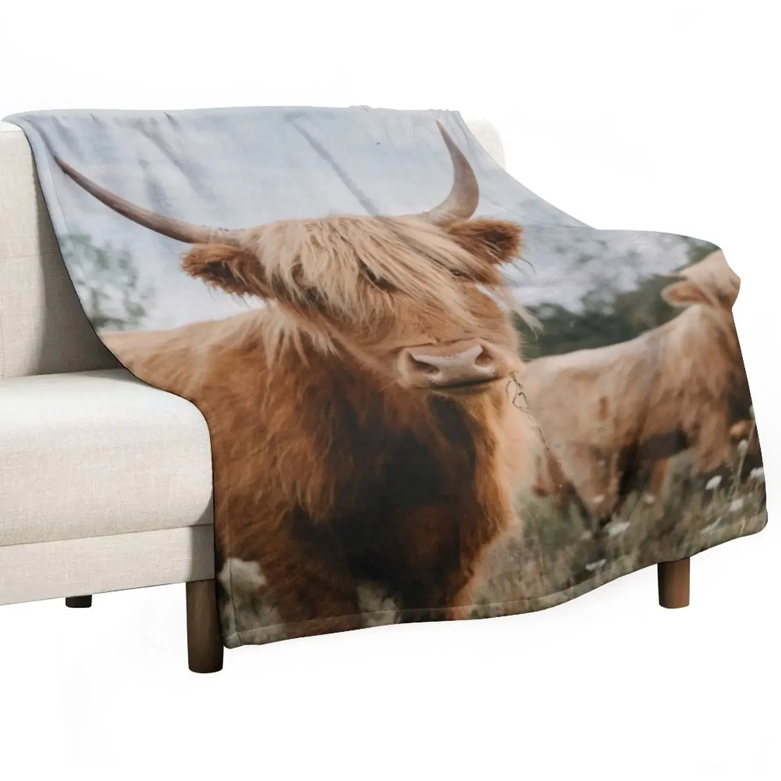 La Famosa Coperta Da Tiro Delle Highland Cow Coperte Divani Di Decorazione Letti Invernali Manga Per Coperte Per Bambini