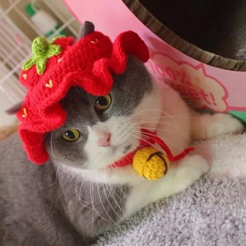 Charming Cat Party Cosplay Knitted Hat with Pendant Decor