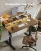 Electric Height Adjustable Standing Desk with Power Outlet and LED Light Strip Sit to Stand  Ergonomic 48 24 Rising Desk with 3