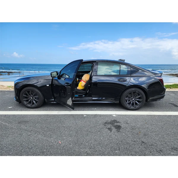 XJM Auto Accessories Store