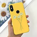 Case-c36