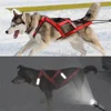 High Quality Big Dog Sledge Harness Skiing Running Pet Harnesses for Medium Large Dogs Alaska Hound Bulldog mascotas Accessories 3