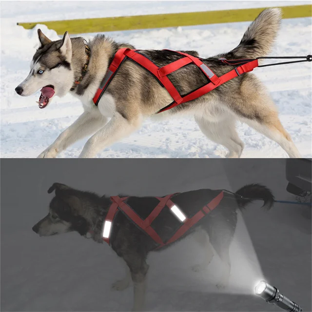 High Quality Big Dog Sledge Harness Skiing Running Pet Harnesses for Medium Large Dogs Alaska Hound Bulldog mascotas Accessories 3