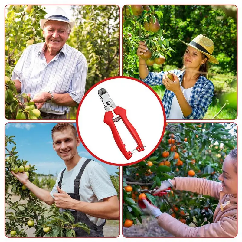 Slide image 3f9e04a40af44371ab986a308c063c3c