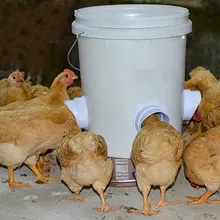 

5PCS DIY Chicken Feeder Rain Proof Poultry Feeder Port Gravity Feeder Kit For Buckets Barrels Drums Buckets Troughs Dropshipping