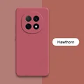 Hawthorn