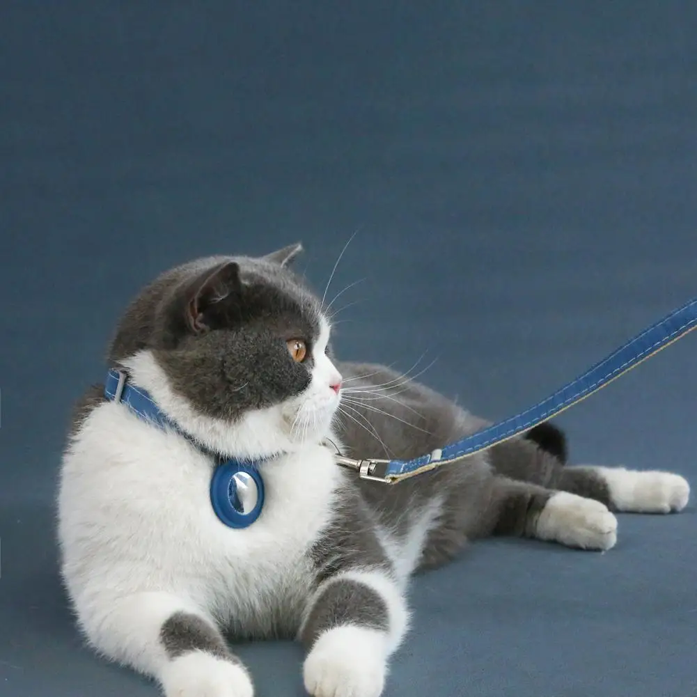 고양이 목걸이, 퀵릴리즈 내마모성, 애완 동물 목 스트랩, 안전 밴드 트래커, AirTag 보호 케이스