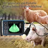 Spare Battery Veterinary Ultrasound Scanner Parts  Portable  Pregnancy Testing 3