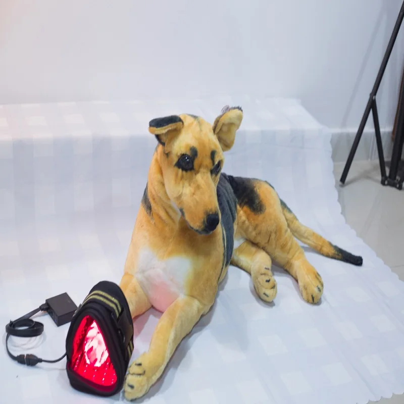 Laser Therapy Device 650nm 808nm for Sport Injuries Arthritis Heel Spurs Pain Relief for human Pet Cat Dog Horse