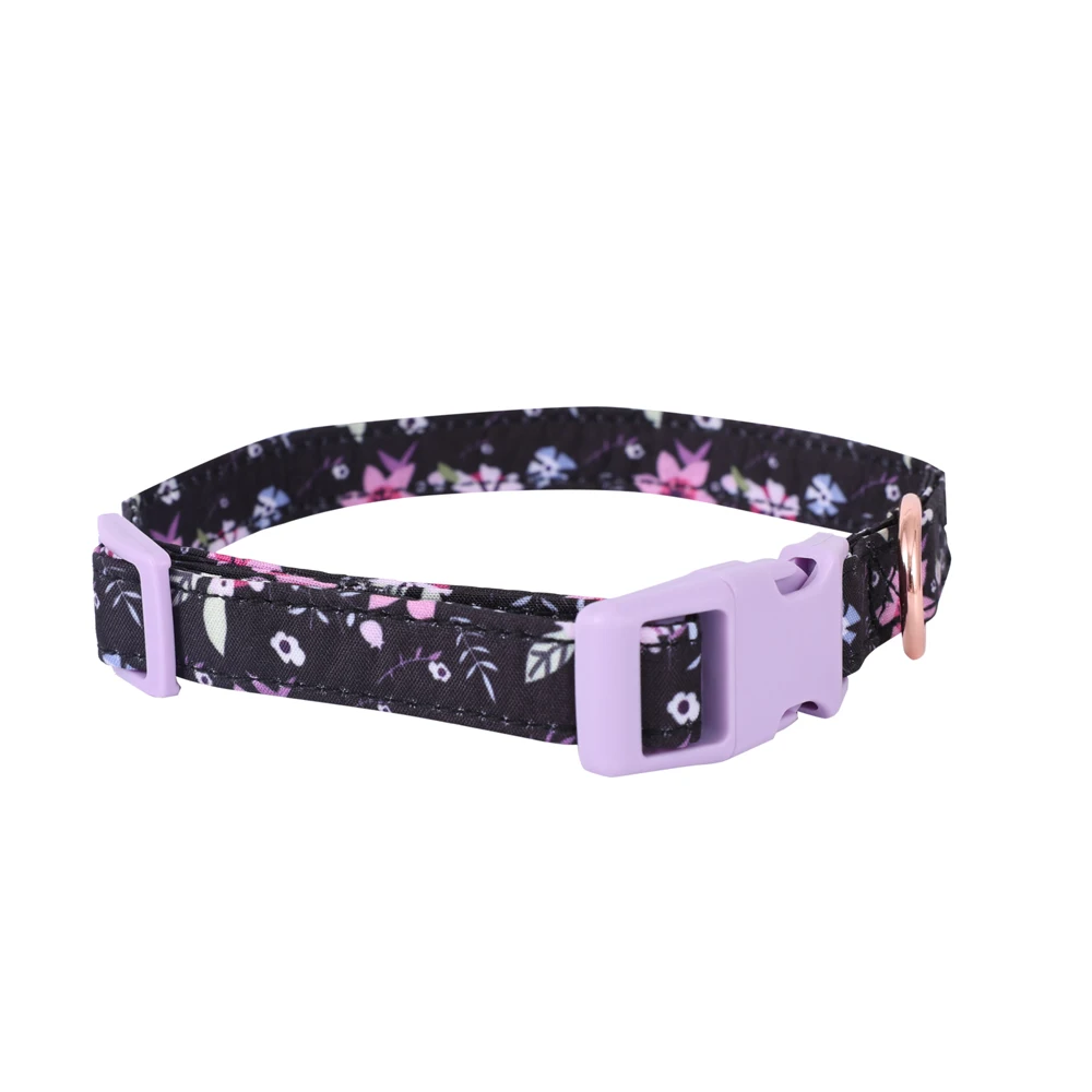 Purple collar