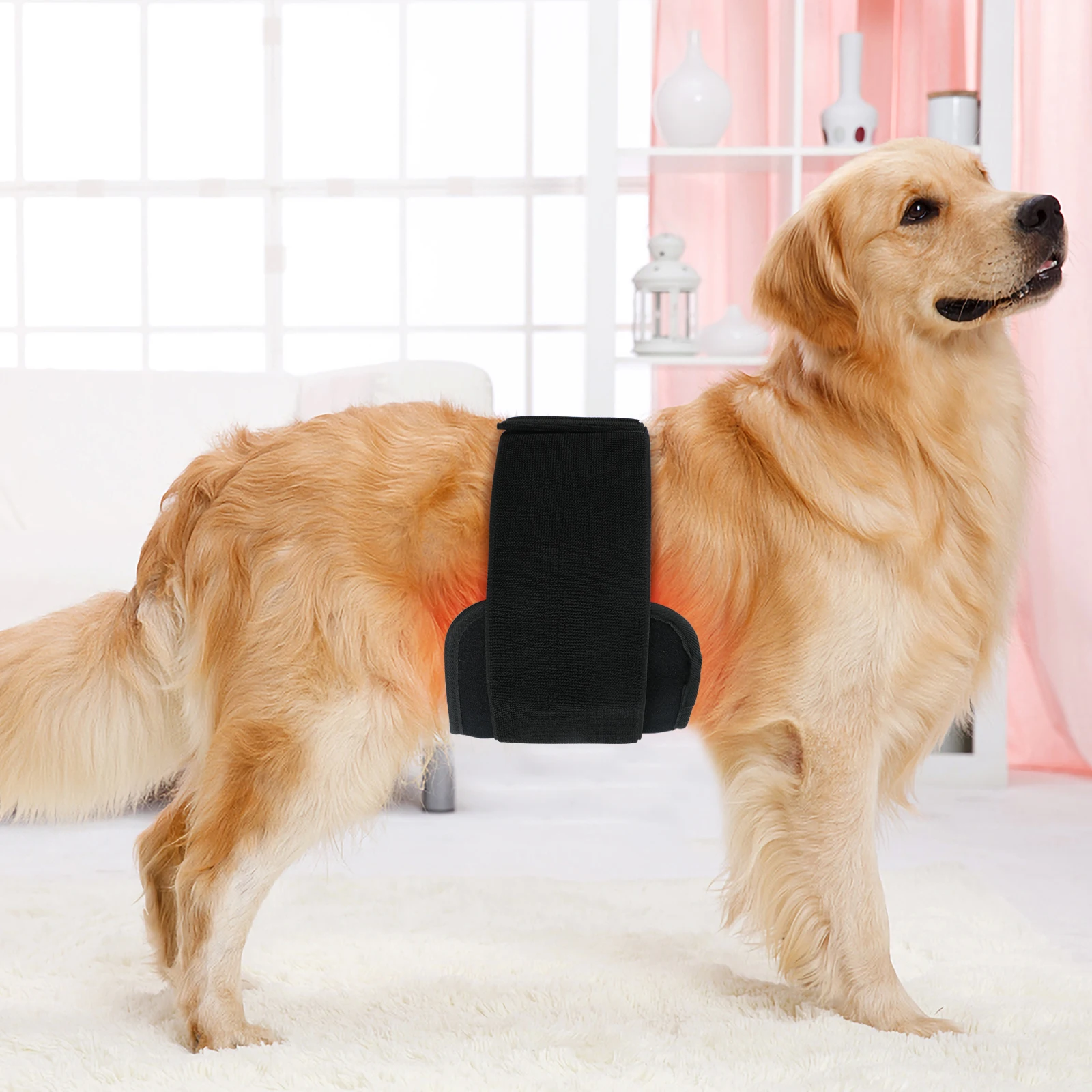 New Product Ideas Intensity Control Led Red Light Therapy Belt for Cat and Dogs Red Light Therapy Belt Pad Dogs