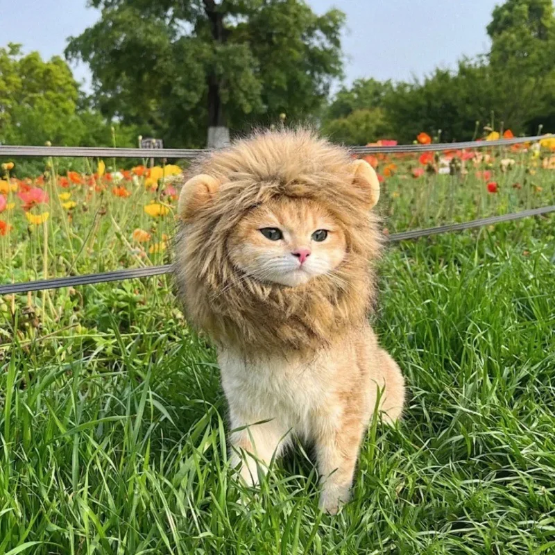 Cat Lion Mane Halloween Costume Lion Costume Cat Cosplay Dress Up Pet Hat for Small Cats and Kittens Party Decoration Wholesale