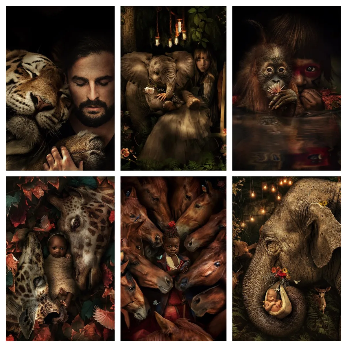 

Painting on Canvas Framed Adult Diy Set Human and Animal Painting Acrylic Paint Digital Painting