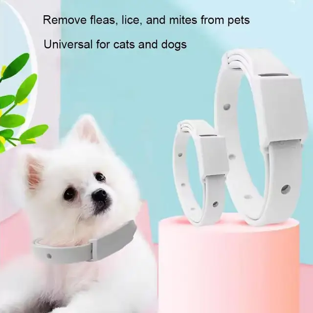 Flea Tick Preventing Pets Collar Adjustable Effectively Repel Eliminate Fleas Collar Long-lasting Keep Pet From Injurious Insect 2