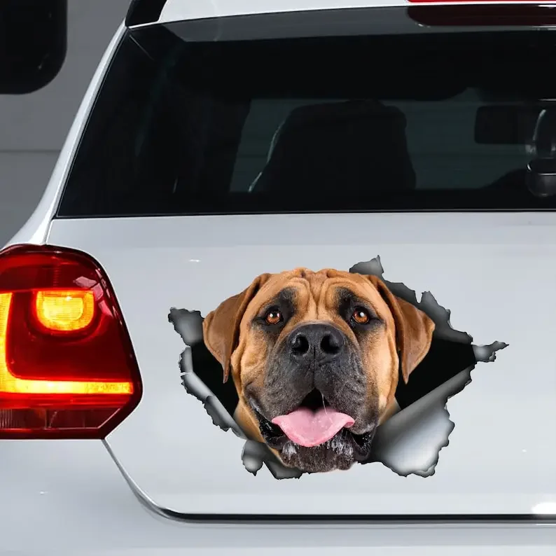 

Наклейка Boerboel, магнит Boerboel, наклейка Boerboel, автомобильная наклейка