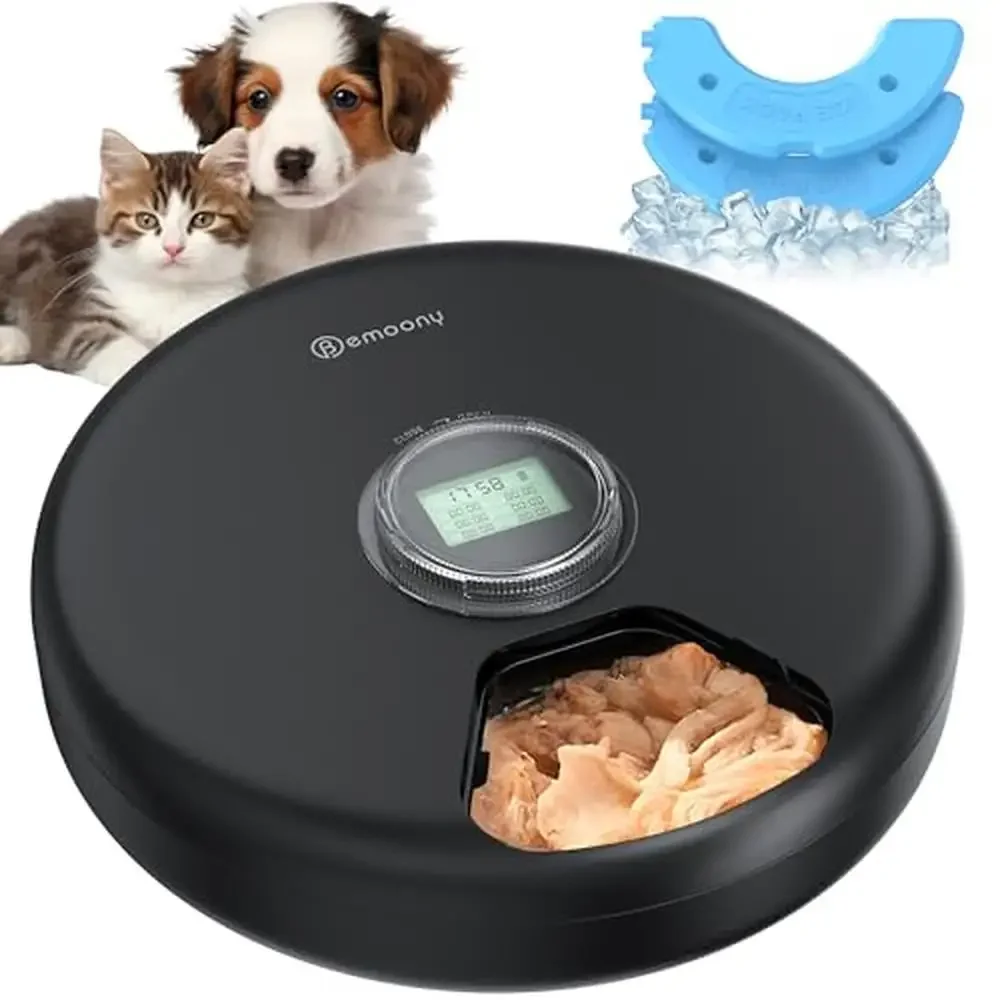 Automatic Wet Food Cat Feeder Cordless Dispenser Small Pet