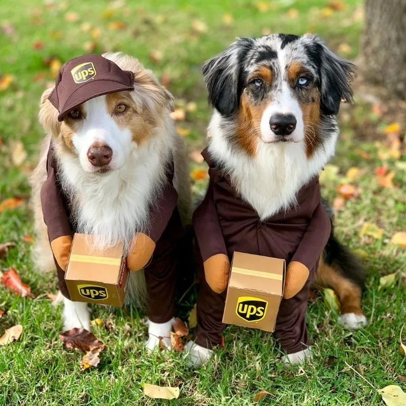 Funny Courier Pet Costume 2