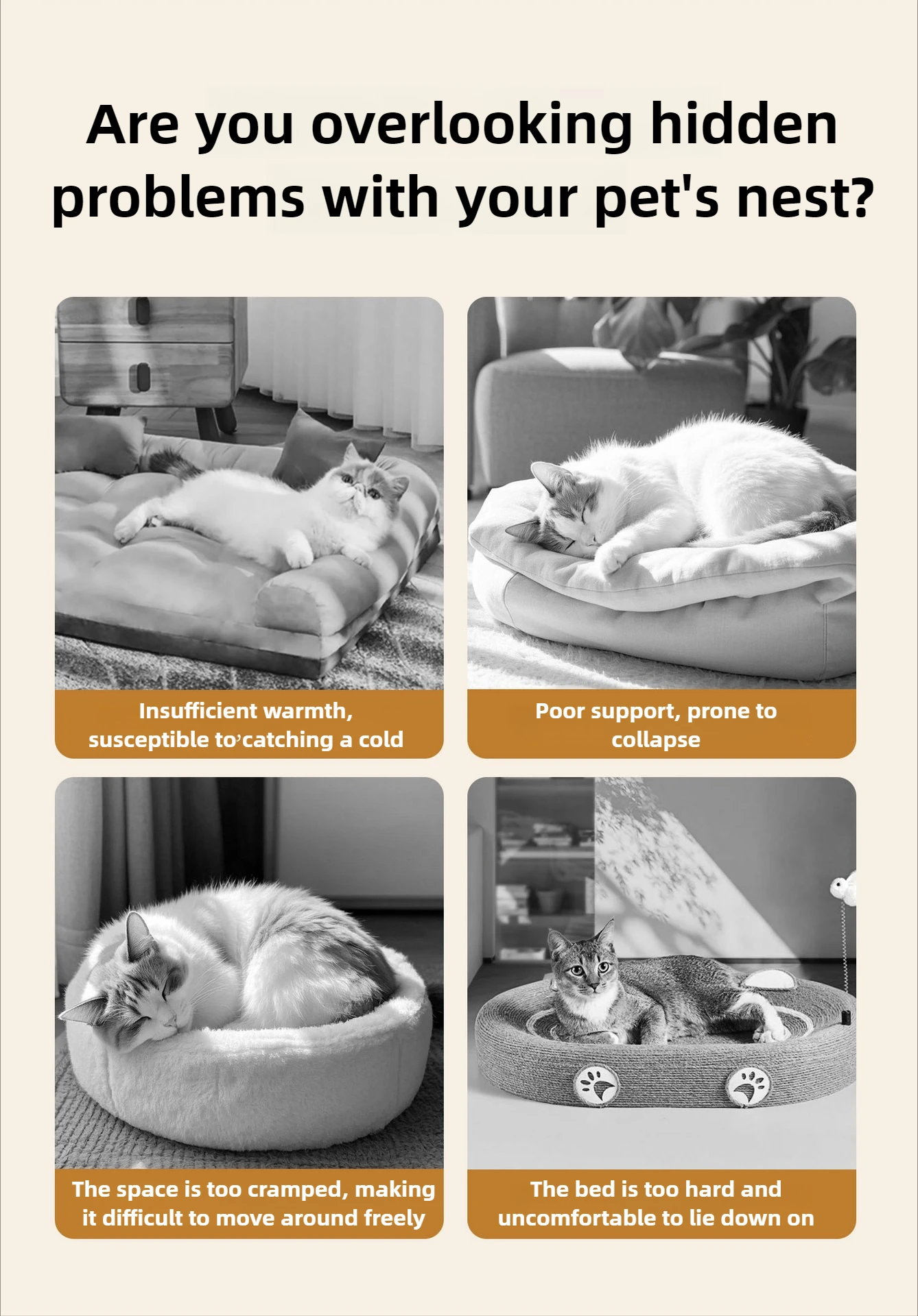 A four-panel comparison titled "Are you overlooking hidden problems with your pet