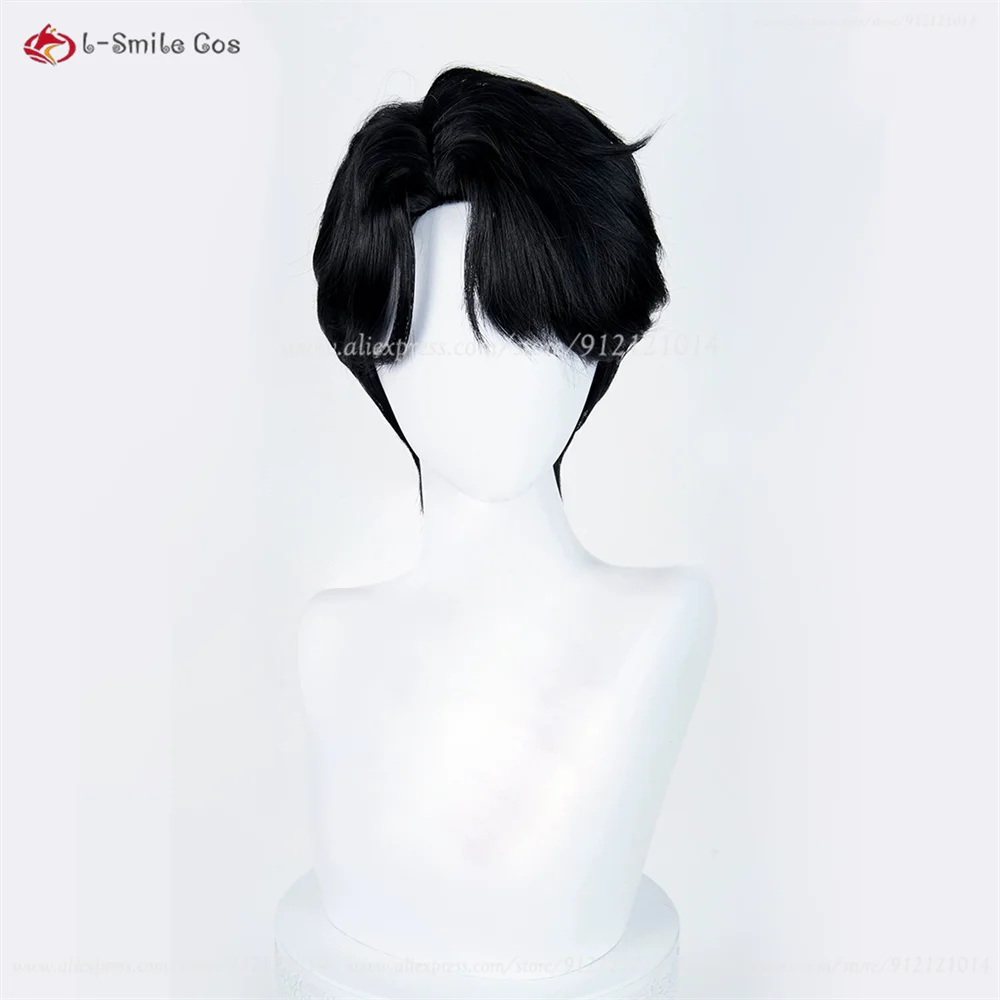 Anime Cosplay Wig Image 5