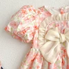 Summer Kids Baby Girls Short Sleeve Sisters Printing Dress Infant Rompers Baby Girls Sweet Princess Children Clothes Dress 6