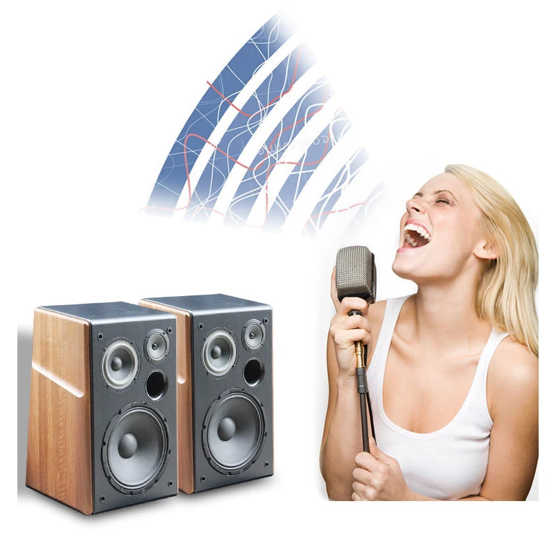 8/10 Inch 200W Wooden Speaker Woofer 4ohm KTV Speaker Treble Home Singing Audio Home Fever Passive Bookshelf
