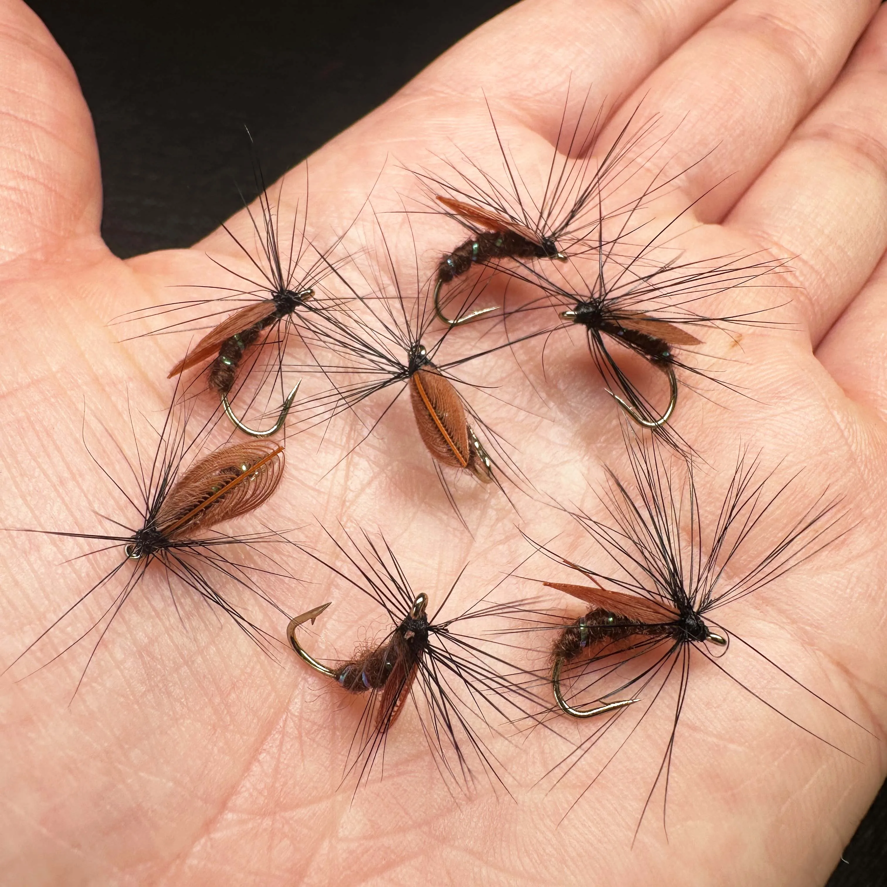 Slide image a7d8c0be033e4ad5aff157669c078973