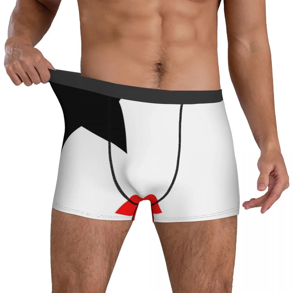 Kiss Underwear Paul Stanley from KISS band Starchild Breathable Panties