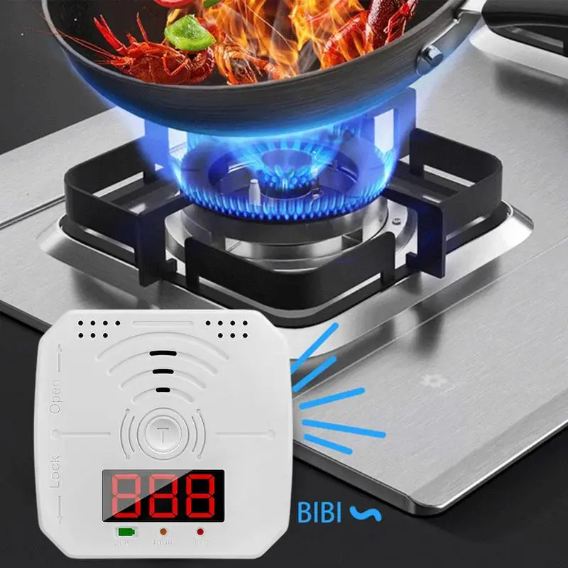 Carbon Monoxide Detector Sound & Light Warning Alarm Portable Co Monitor Sound & Light Warning Alarm Battery-Operated Carbon