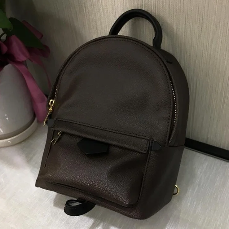 Top Quality Luxury Brand Designer Bag Classic Canvas Real Leather Women Mini  Spring Backpack - Backpacks - AliExpress