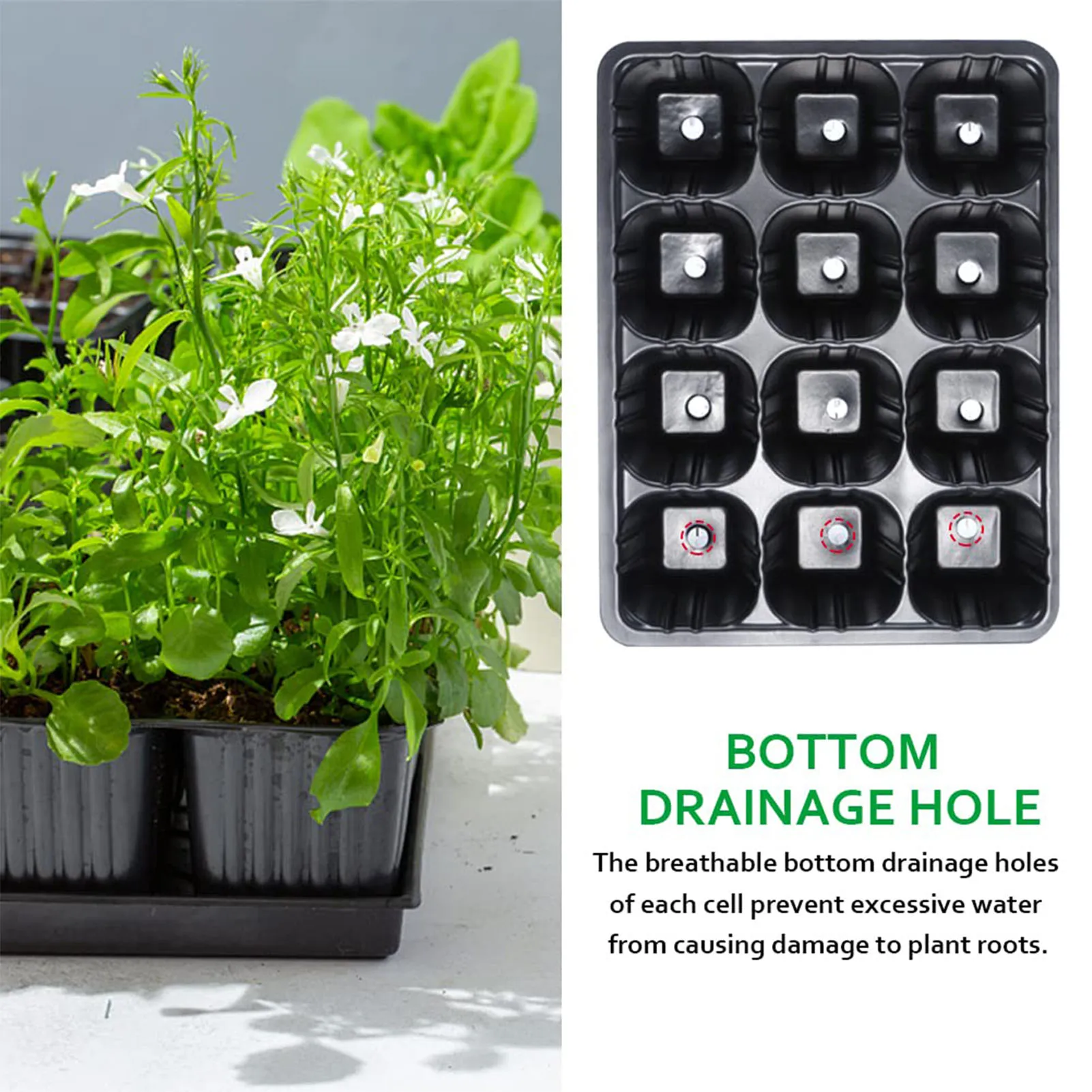 Durable 12-Cell Seedling Tray for Germination and Plant Growth