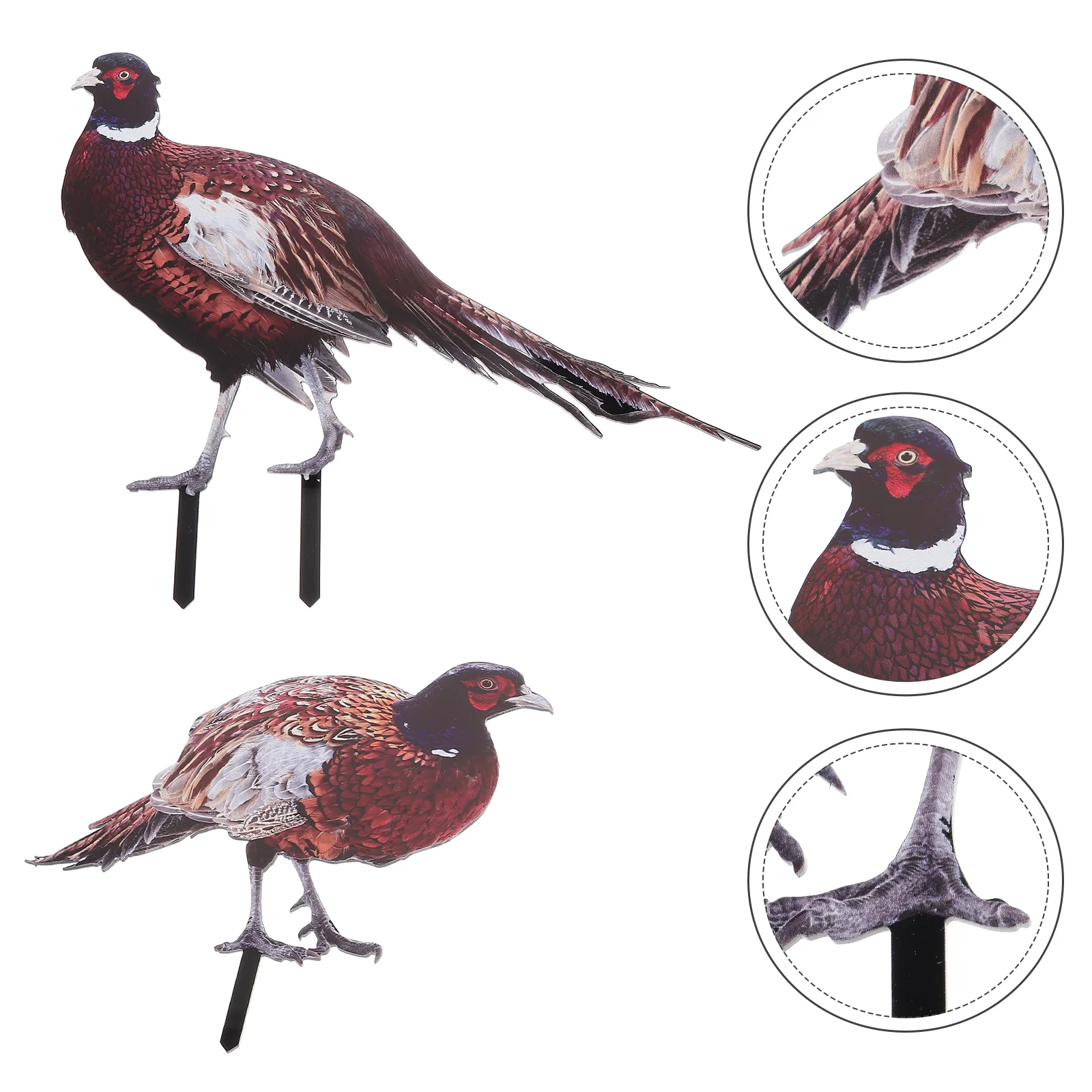 

2 Pcs Pheasant Garden Decoration Outdoor Sculpture Ornament Stake Adornment Metal Ground Inserted Acrylic Shape Yard Sign Lawn