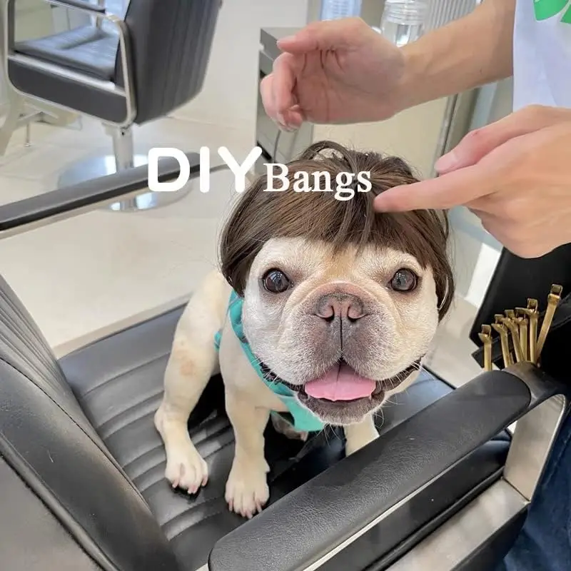 

Pet Wigs Dog Cat Headdress Pet Costume Funny Cosplay Pet Headwear with Adjustable Elastic Band, Halloween Christmas Pet Dog Cat