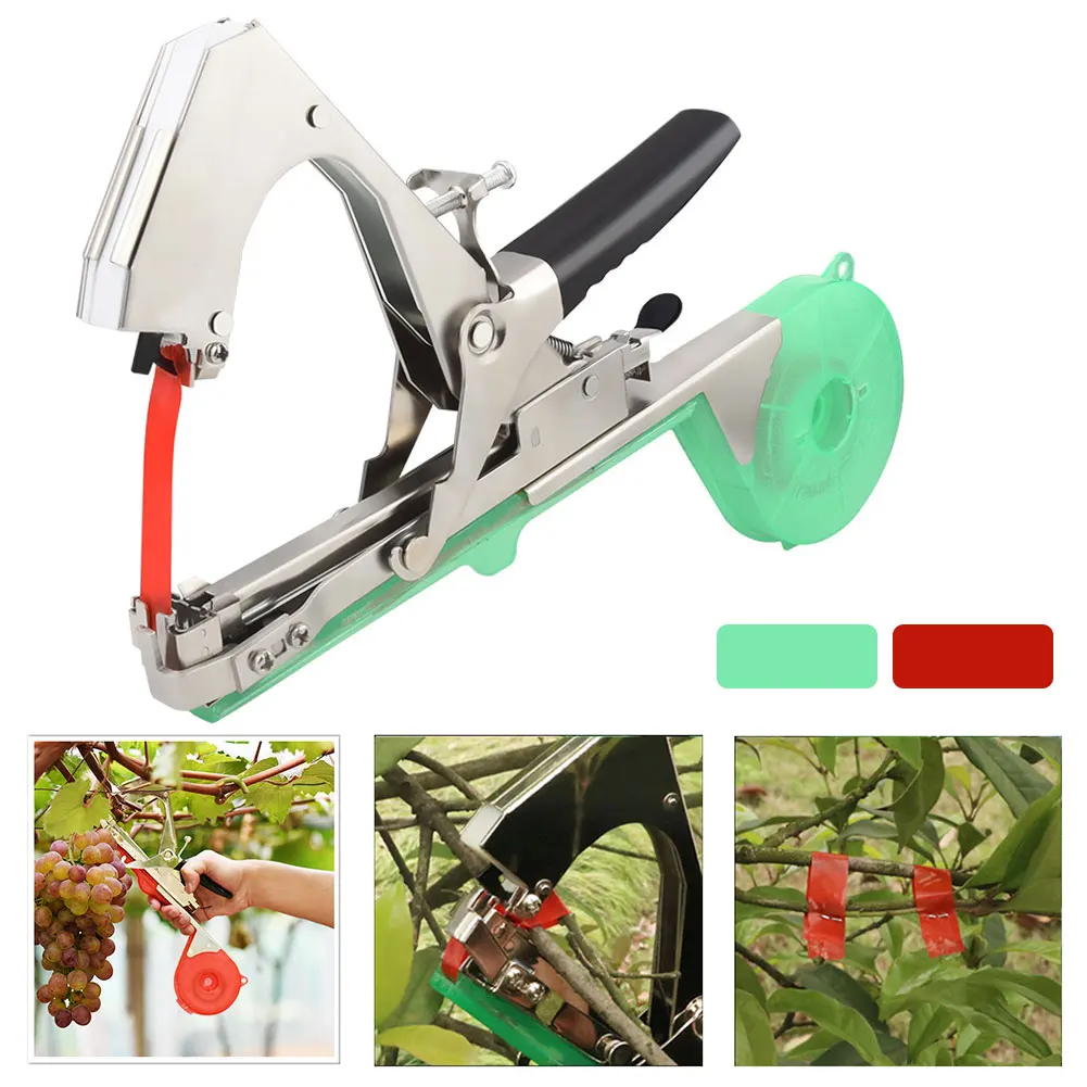 ���� ��� �Ĺ� ���� �Ĺ� ������ ���� ������ �� ������ ��Ʈ ��ä ���� �丶�� ���� ���� ��