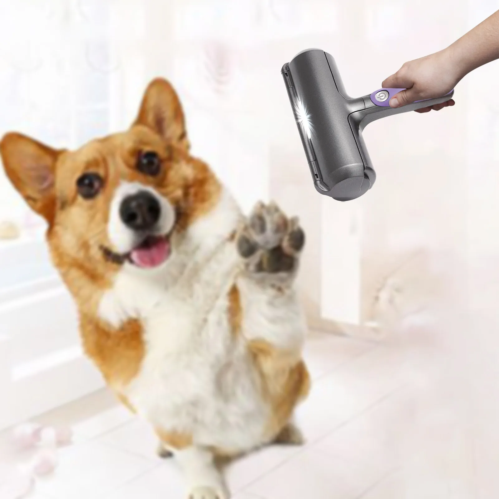 ݷ  ű ѷ û 귯,  ű,     귯, ڵ Ƿ   ī 